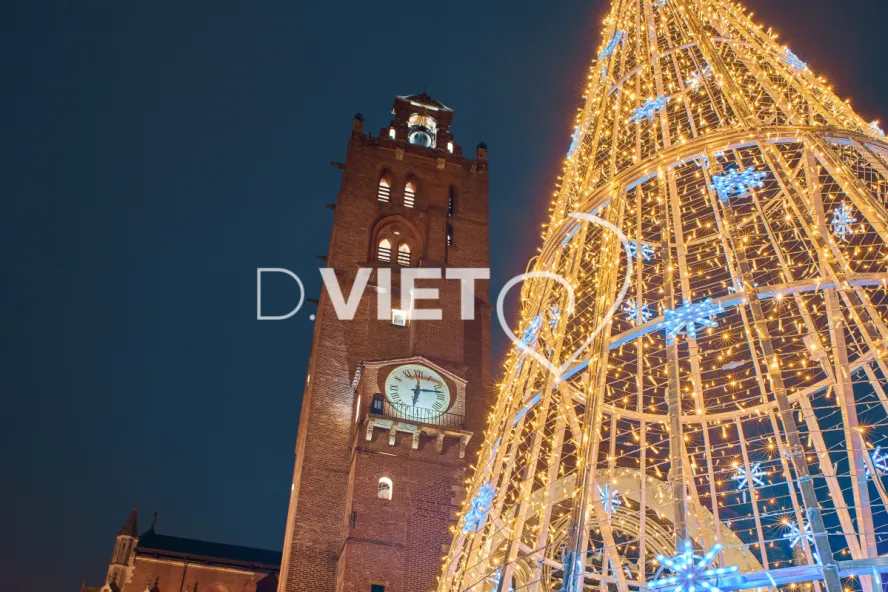 Photo TOULOUSE by VIET - VIET_008823