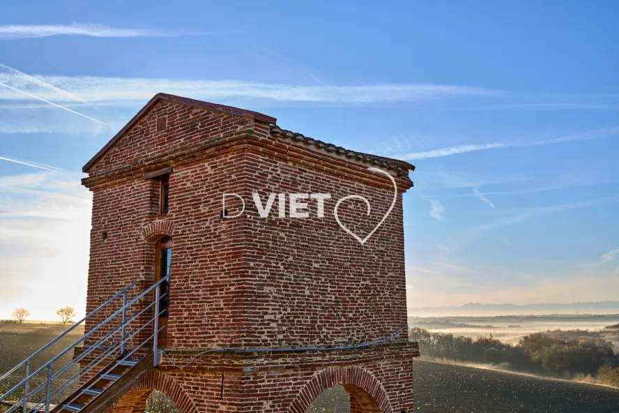 Photo TOULOUSE by VIET - PIGEONNIER