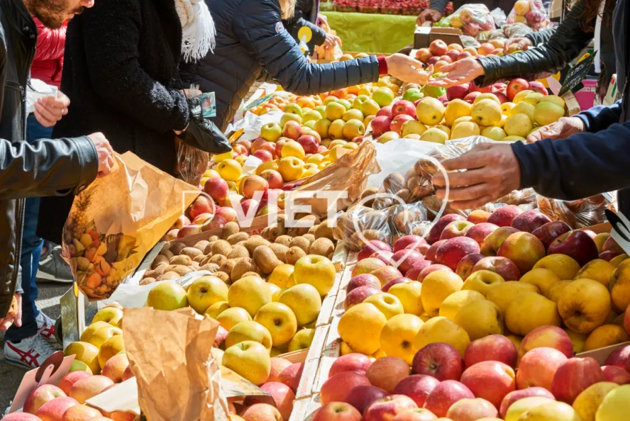 Photo TOULOUSE by VIET - VIET_008898