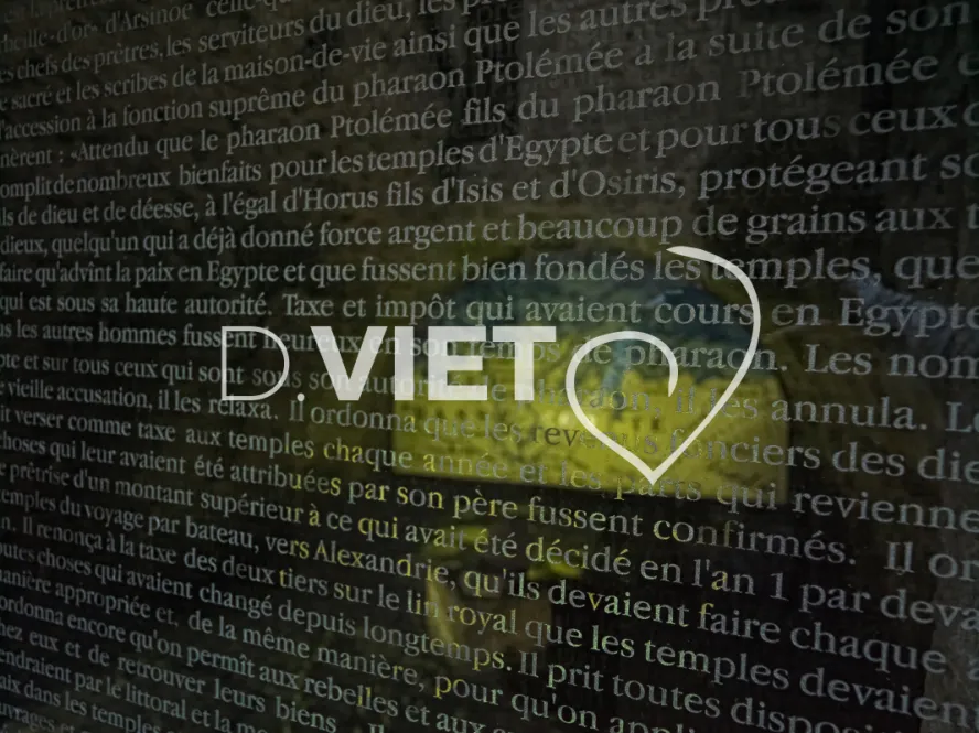 Photo TOULOUSE by VIET - VIET_003163