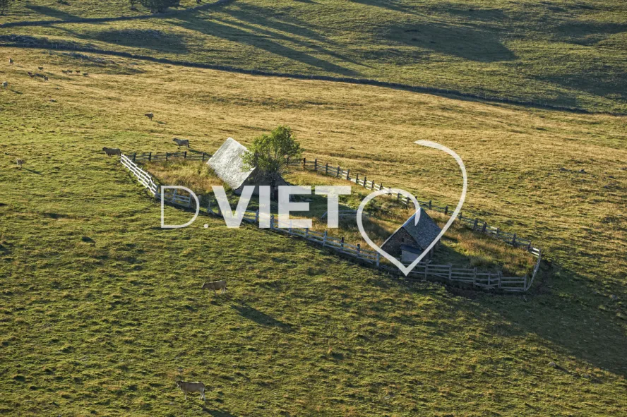 Photo TOULOUSE by VIET - Buron Aubrac