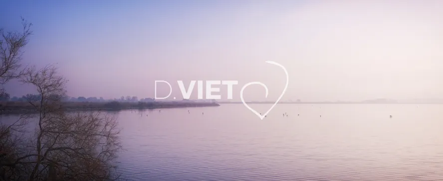 Photo TOULOUSE by VIET - VIET_006657