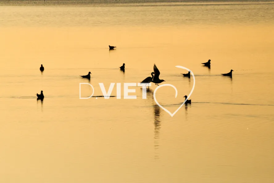 Photo TOULOUSE by VIET - Etangs de Bages et de Sigean