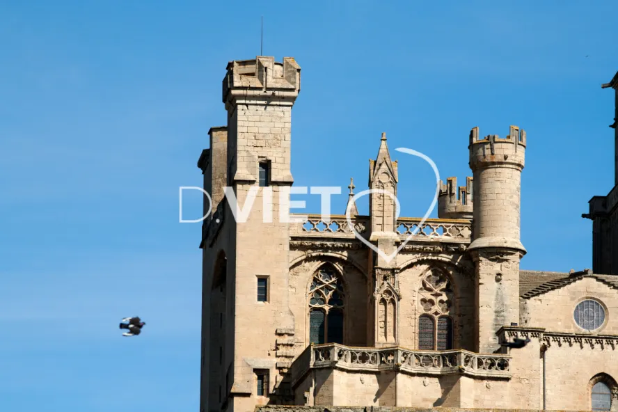 Photo TOULOUSE by VIET - Cathedrale Saint Nazaire
