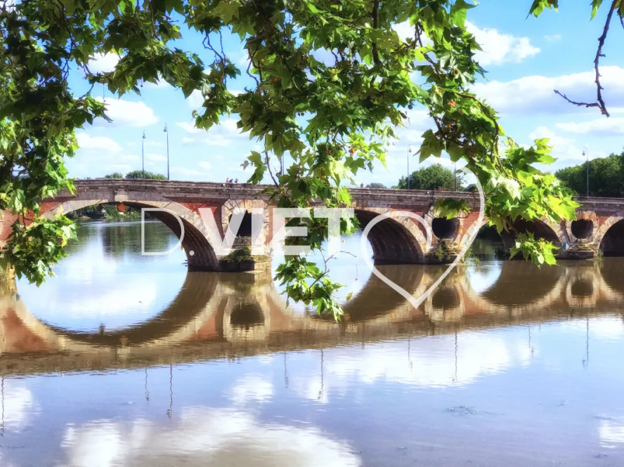 Photo TOULOUSE by VIET - Ponts Neuf