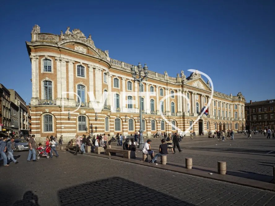 Photo TOULOUSE by VIET - Capitole fete