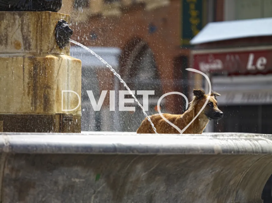 Photo TOULOUSE by VIET - La fontaine de la Trinit?