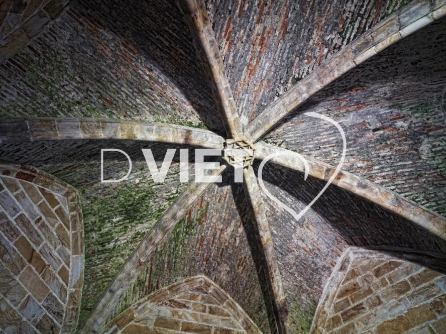 Photo TOULOUSE by VIET - Chateau de Foix