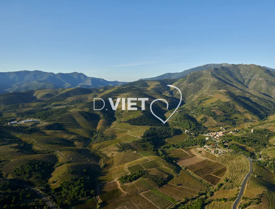 Photo TOULOUSE by VIET - PYRENEES