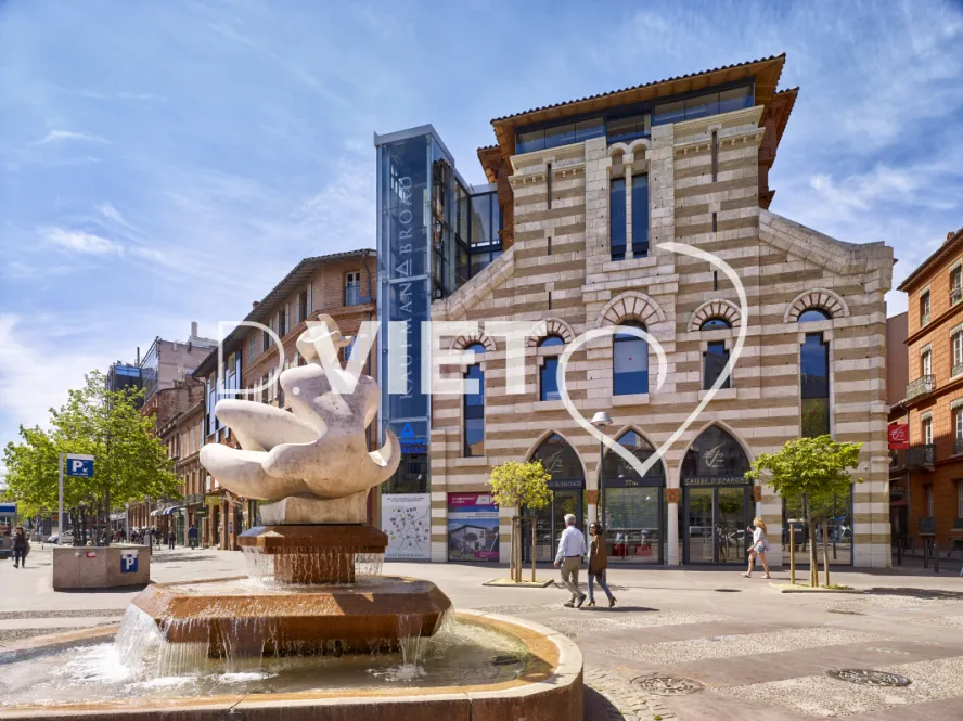 Photo TOULOUSE by VIET - Allées Jean Jaures