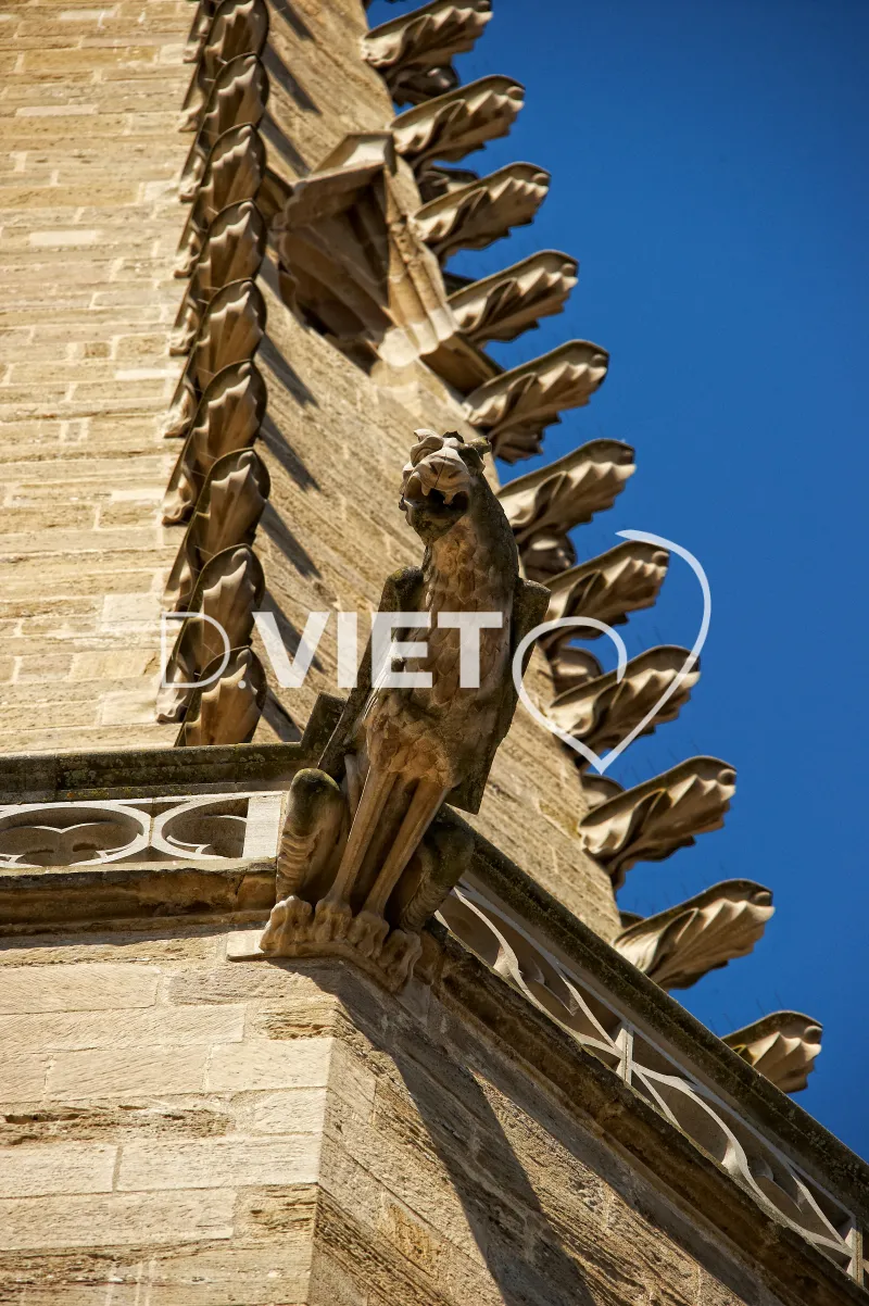 Photo TOULOUSE by VIET - Mirepoix