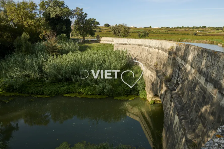 Photo TOULOUSE by VIET - REPRUDE