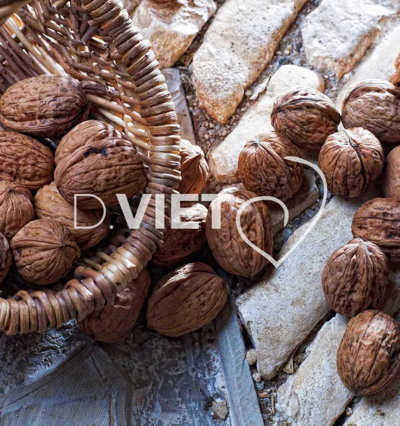 Photo TOULOUSE by VIET - l Ouysse