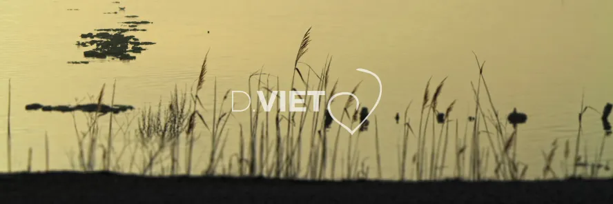 Photo TOULOUSE by VIET - VIET_006699