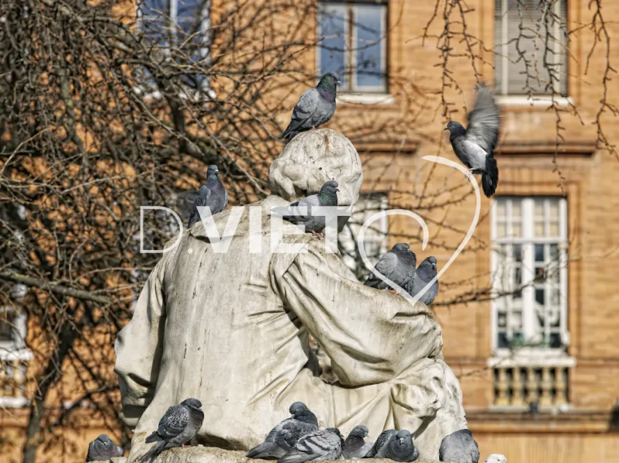 Photo TOULOUSE by VIET - Place Wilson