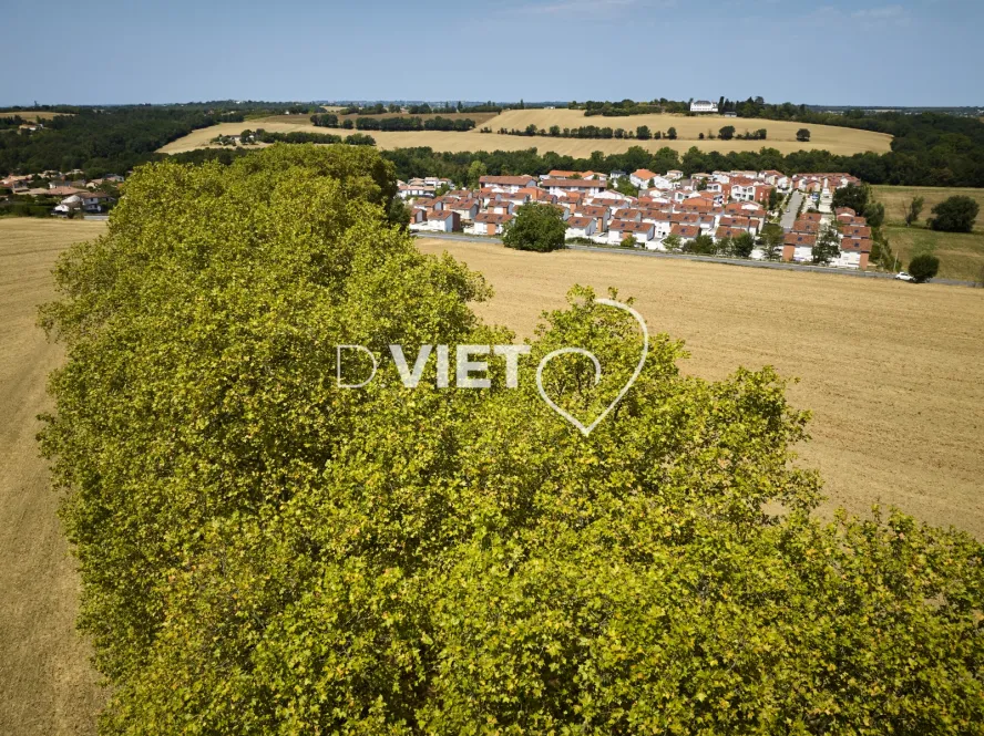 Photo TOULOUSE by VIET - QUINT FONSEGRIVES Habitat Pavillonnaire