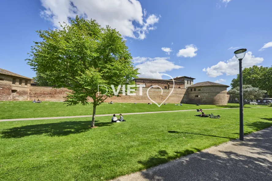 Photo TOULOUSE by VIET - Jardin Raymond VI