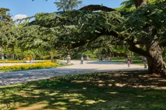 Photo TOULOUSE by VIET - Jardin du grand Rond