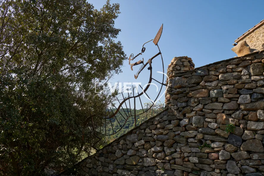 Photo TOULOUSE by VIET - MINERVE