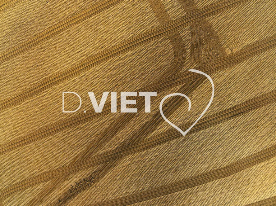 Photo TOULOUSE by VIET - TRACES