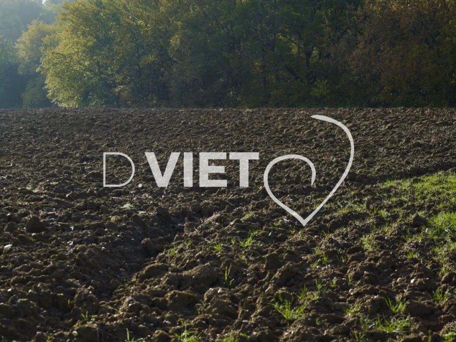 Photo TOULOUSE by VIET - BRUME