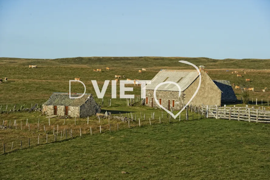 Photo TOULOUSE by VIET - Buron Aubrac