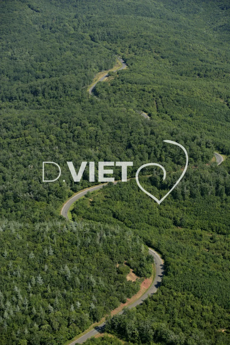 Photo TOULOUSE by VIET - 81 FORET DE GRESINE N44°01268 E001°45384 ©VIET 361.com