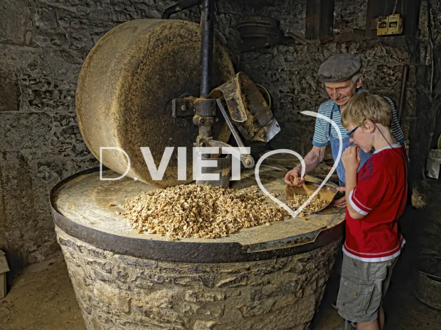 Photo TOULOUSE by VIET - Moulin à Huile de Noix
