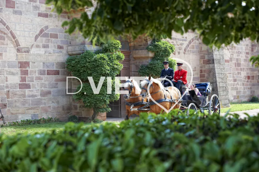 Photo TOULOUSE by VIET - Haras de Rodez