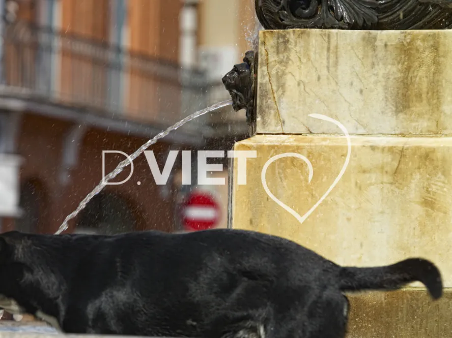Photo TOULOUSE by VIET - La fontaine de la Trinit?