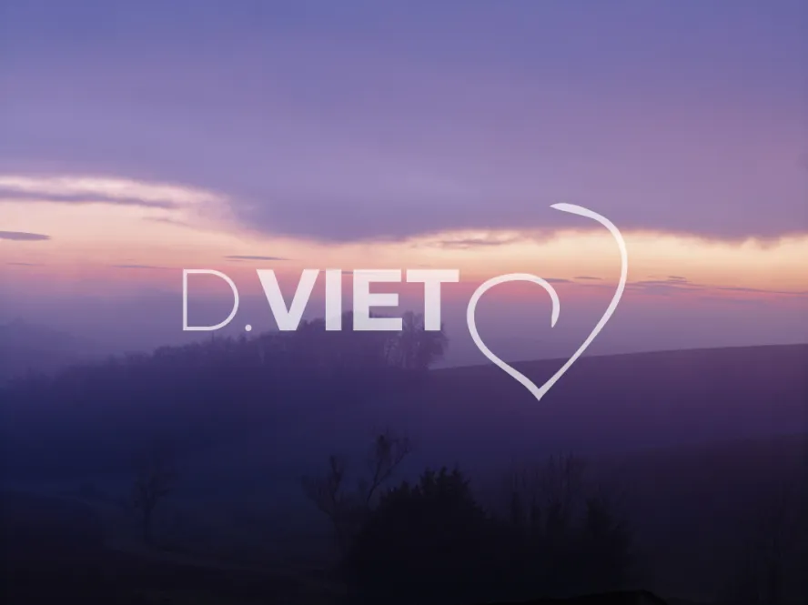 Photo TOULOUSE by VIET - VIET_008043