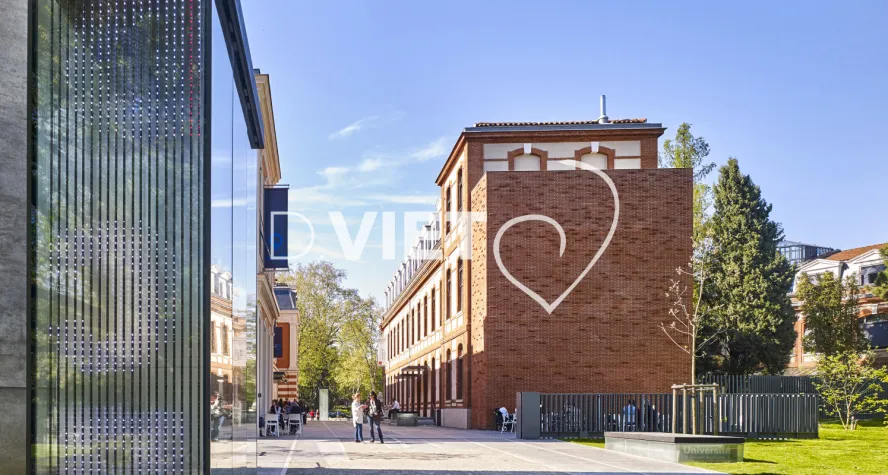 Photo TOULOUSE by VIET - Quais des savoirs