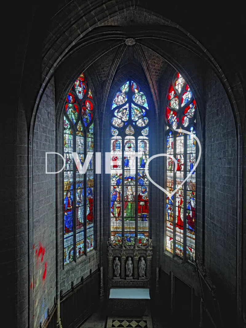Photo TOULOUSE by VIET - Cathédrale Sainte-Marie