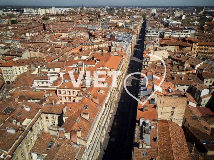 Photo TOULOUSE by VIET - Toits de Toulouse