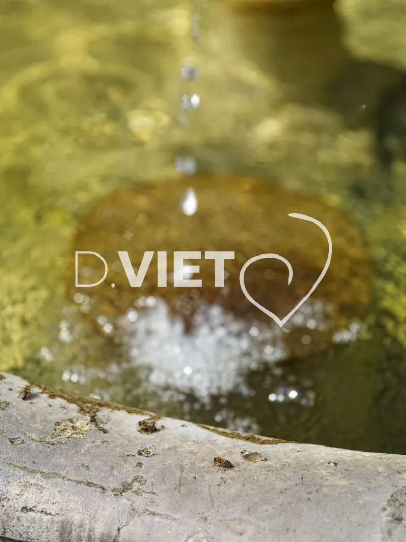 Photo TOULOUSE by VIET - La fontaine Saint-Etienne