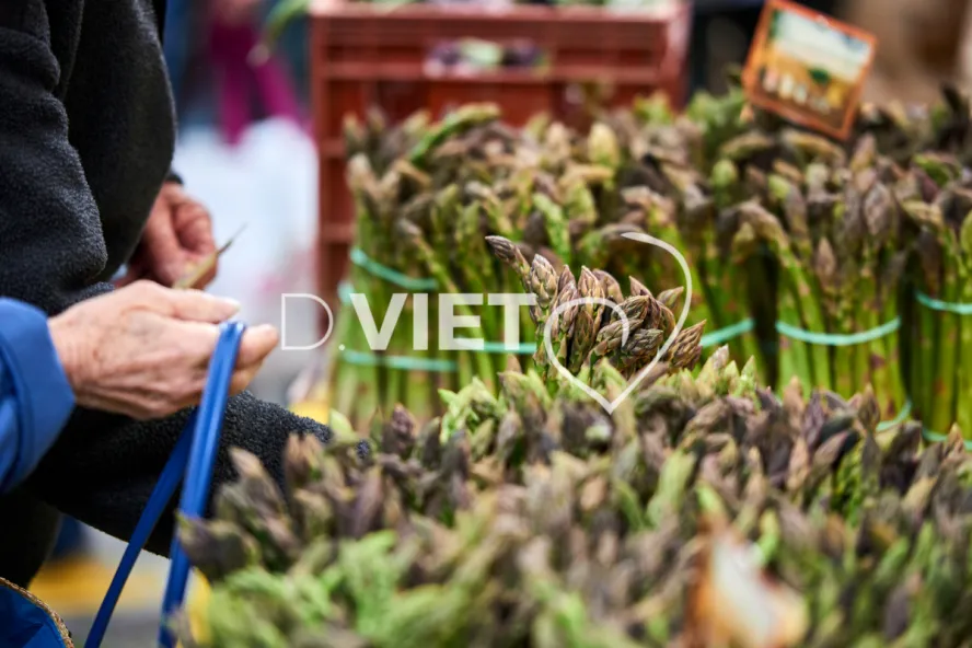 Photo TOULOUSE by VIET - VIET_008892