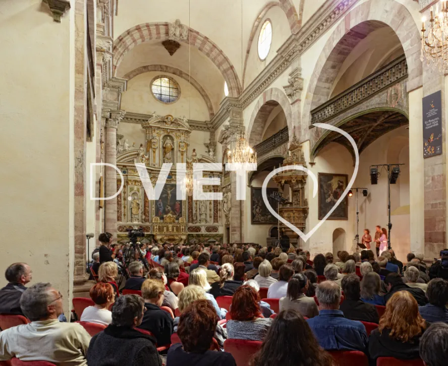 Photo TOULOUSE by VIET - Estivada