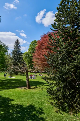Photo TOULOUSE by VIET - Jardin des plantes