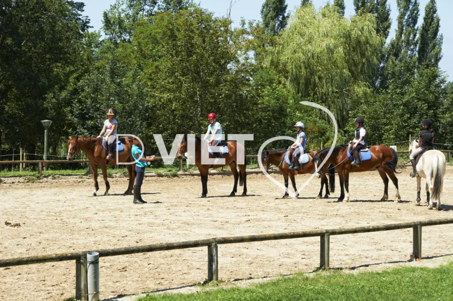 Photo TOULOUSE by VIET - Centre equestre de Combelles