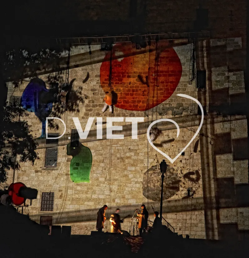 Photo TOULOUSE by VIET - spectacle de nuit