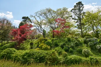 Photo TOULOUSE by VIET - Jardin Japonais