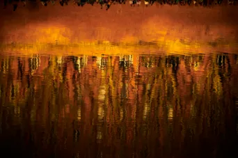 Photo TOULOUSE by VIET - Garonne Les quais
