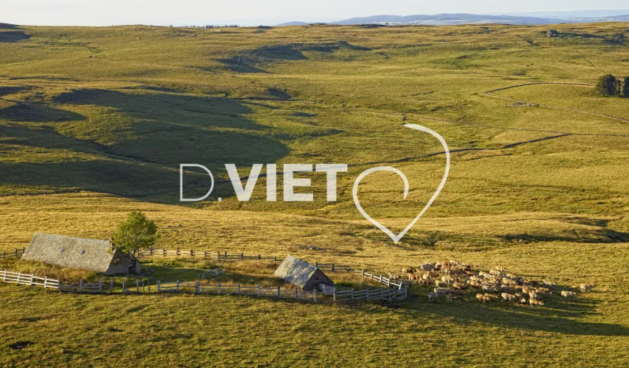 Photo TOULOUSE by VIET - Buron Aubrac