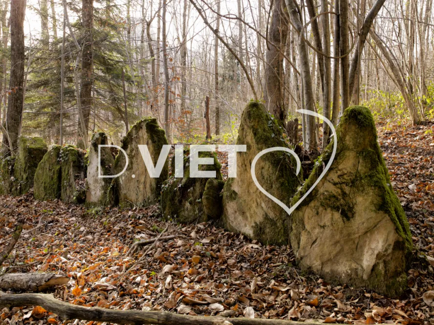 Photo TOULOUSE by VIET - Montsegur 09 pierres