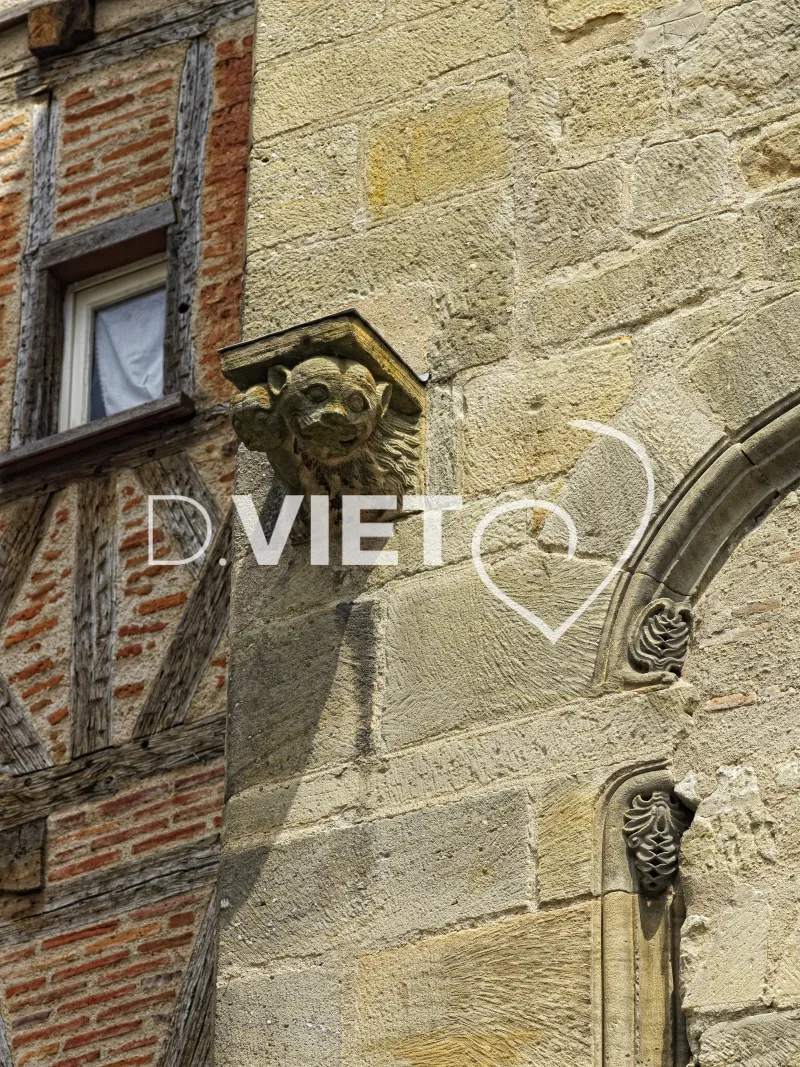 Photo TOULOUSE by VIET - VIET_003180