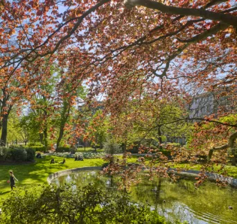 Photo TOULOUSE by VIET - Jardin Royal