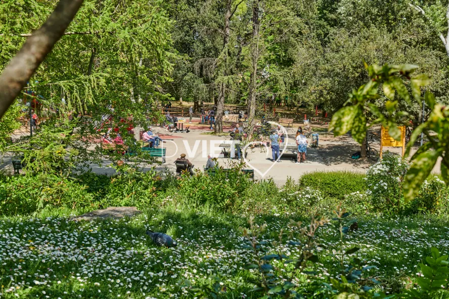 Photo TOULOUSE by VIET - Jardin Japonais