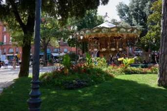 Photo TOULOUSE by VIET - le manege les plantes et le Cardinal