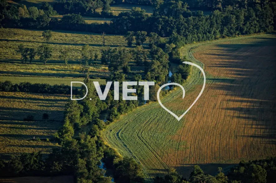 Photo TOULOUSE by VIET - La Baise