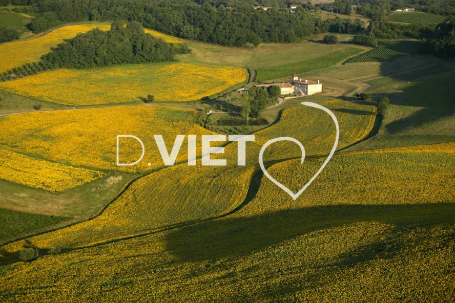 Photo TOULOUSE by VIET - 81LE GAILLACOIS N43°55570 E001°52570 ©VIET 361.com